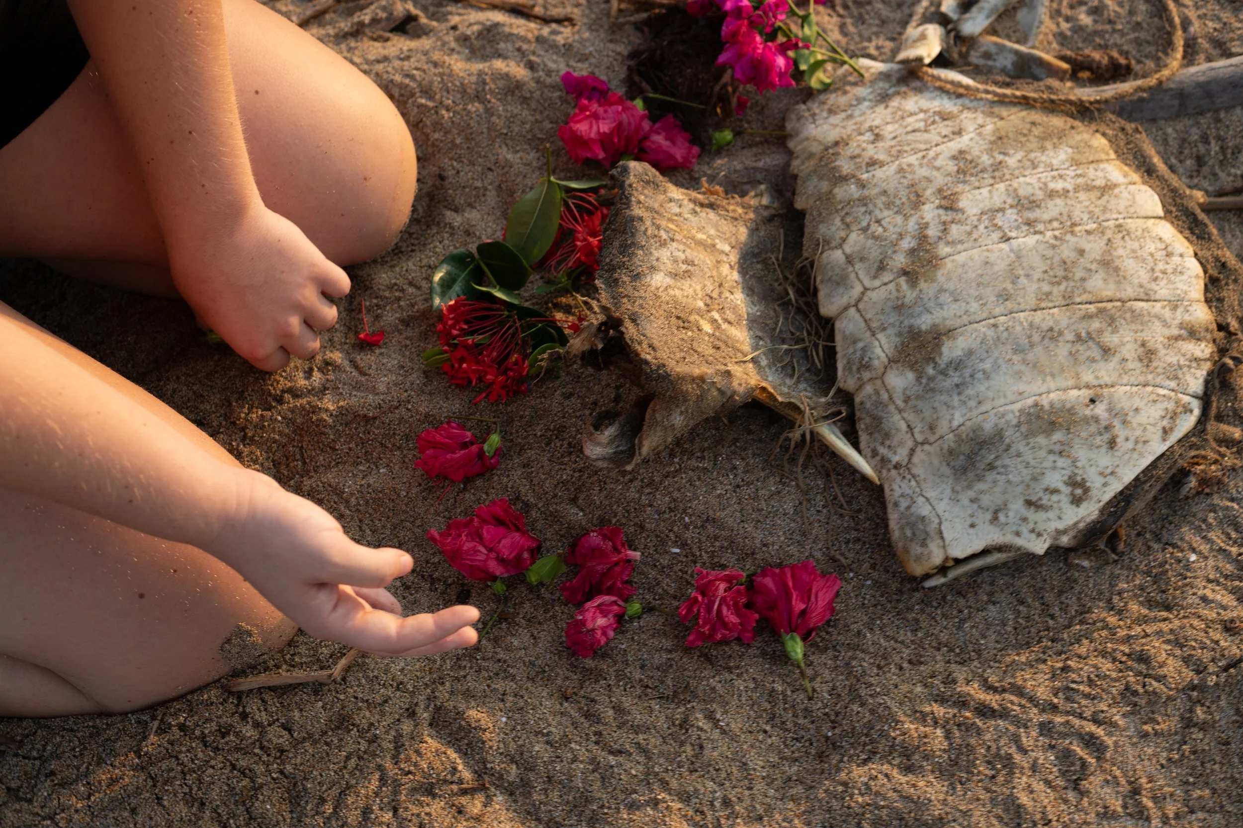 Sacred ceremony on the beach of Zihuatanejo honoring the life of a turtle on the Playa