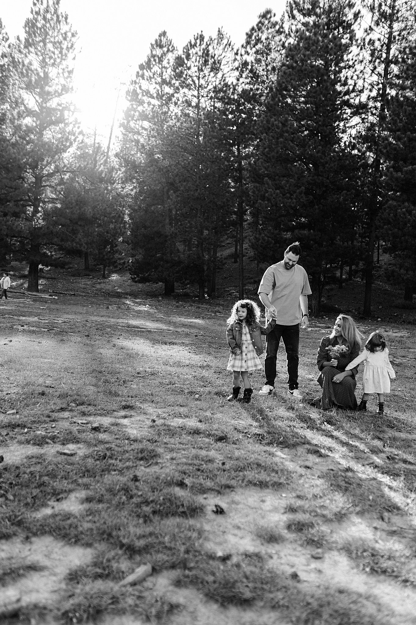 mount-charleston-meadows.jpg