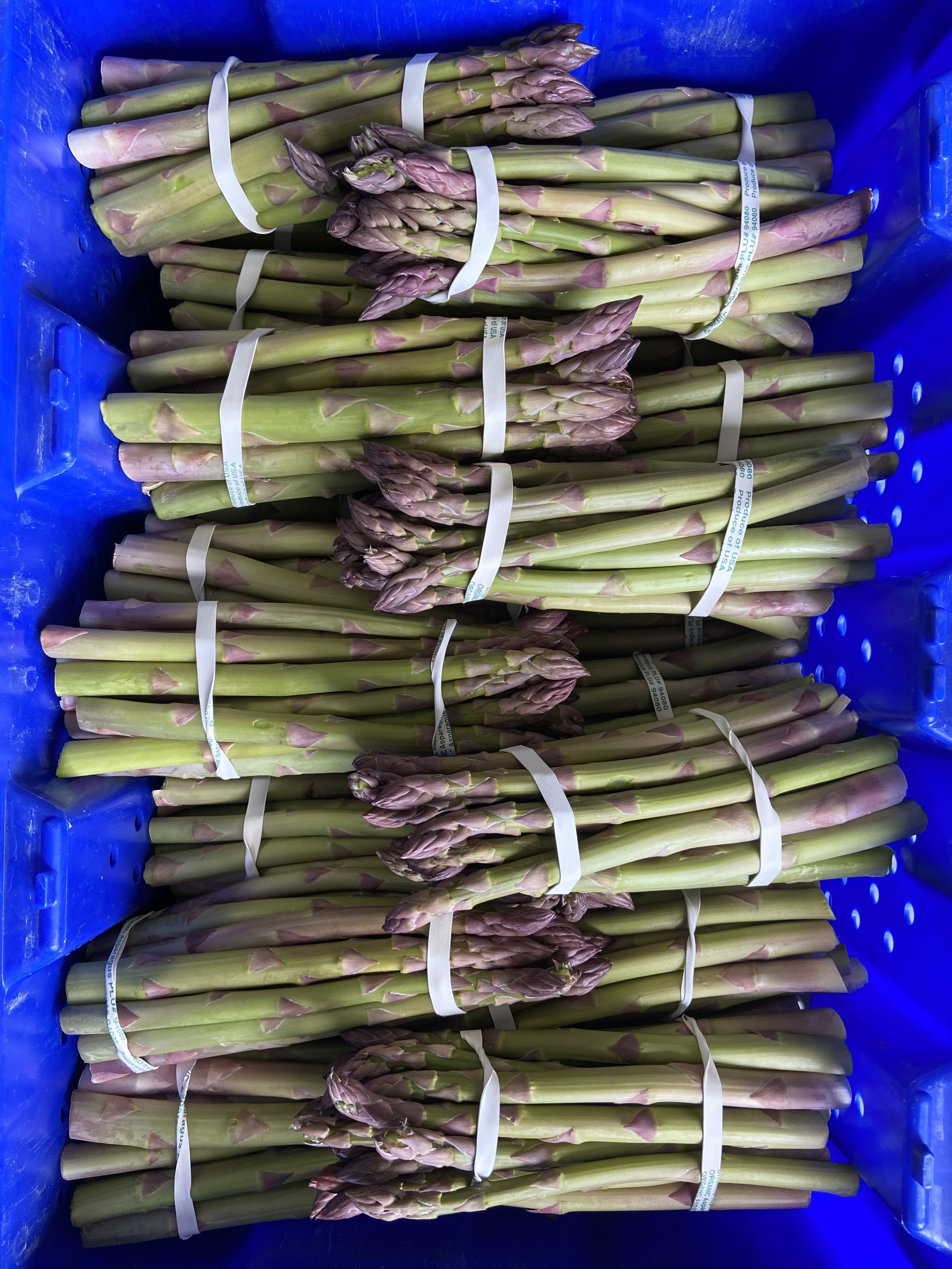 CVP Asparagus in bin (1).jpeg