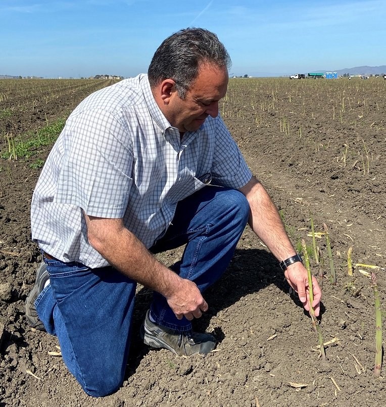 Ron Mondo asparagus field 6 3.4.20 crop.jpg