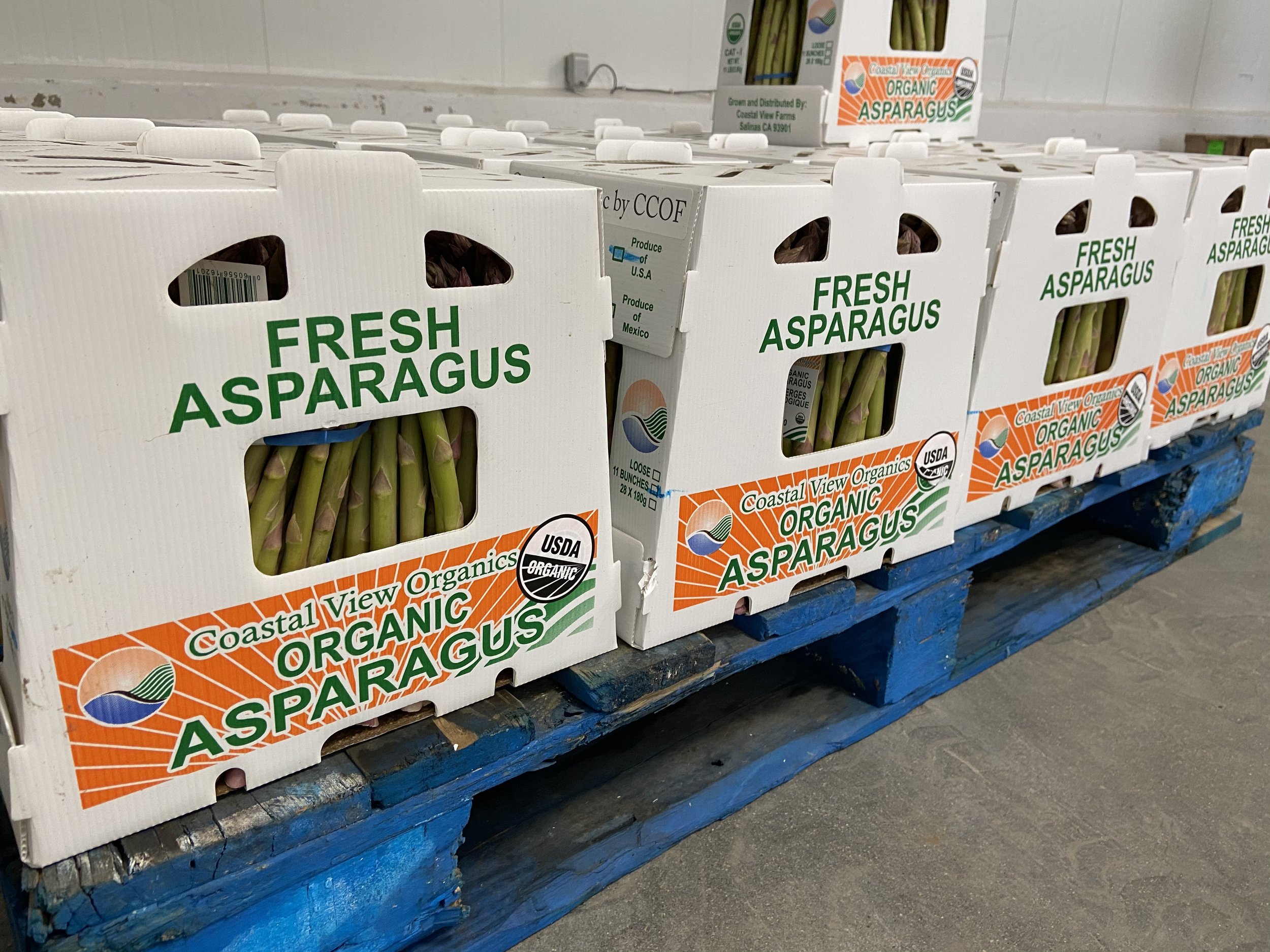 CVP Asparagus in boxes (2).jpeg