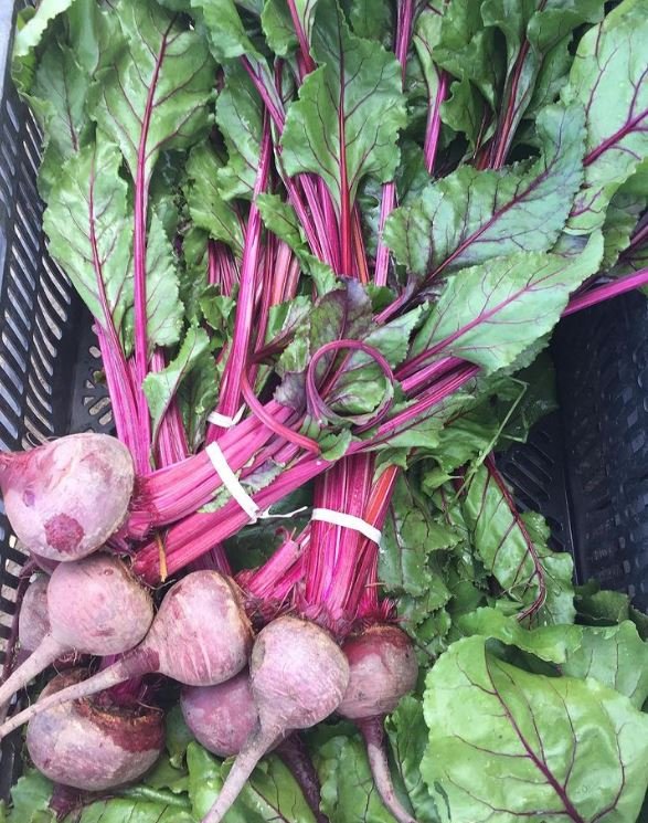 Tutti Bunched Beets.JPG