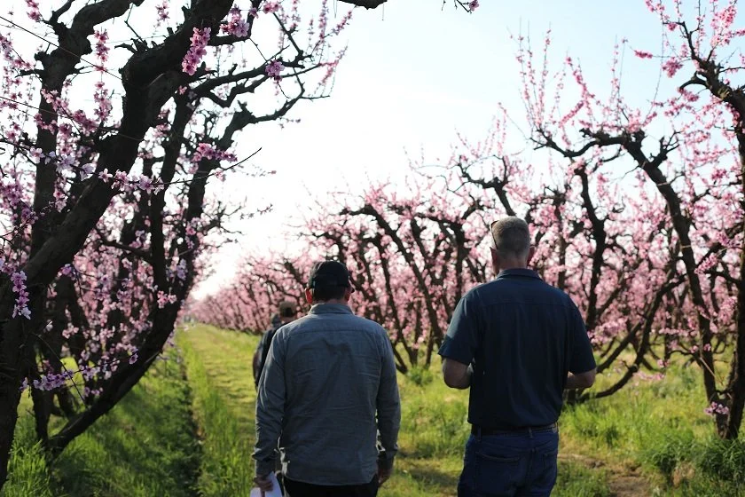 Jon&Scott in the grove.jpg