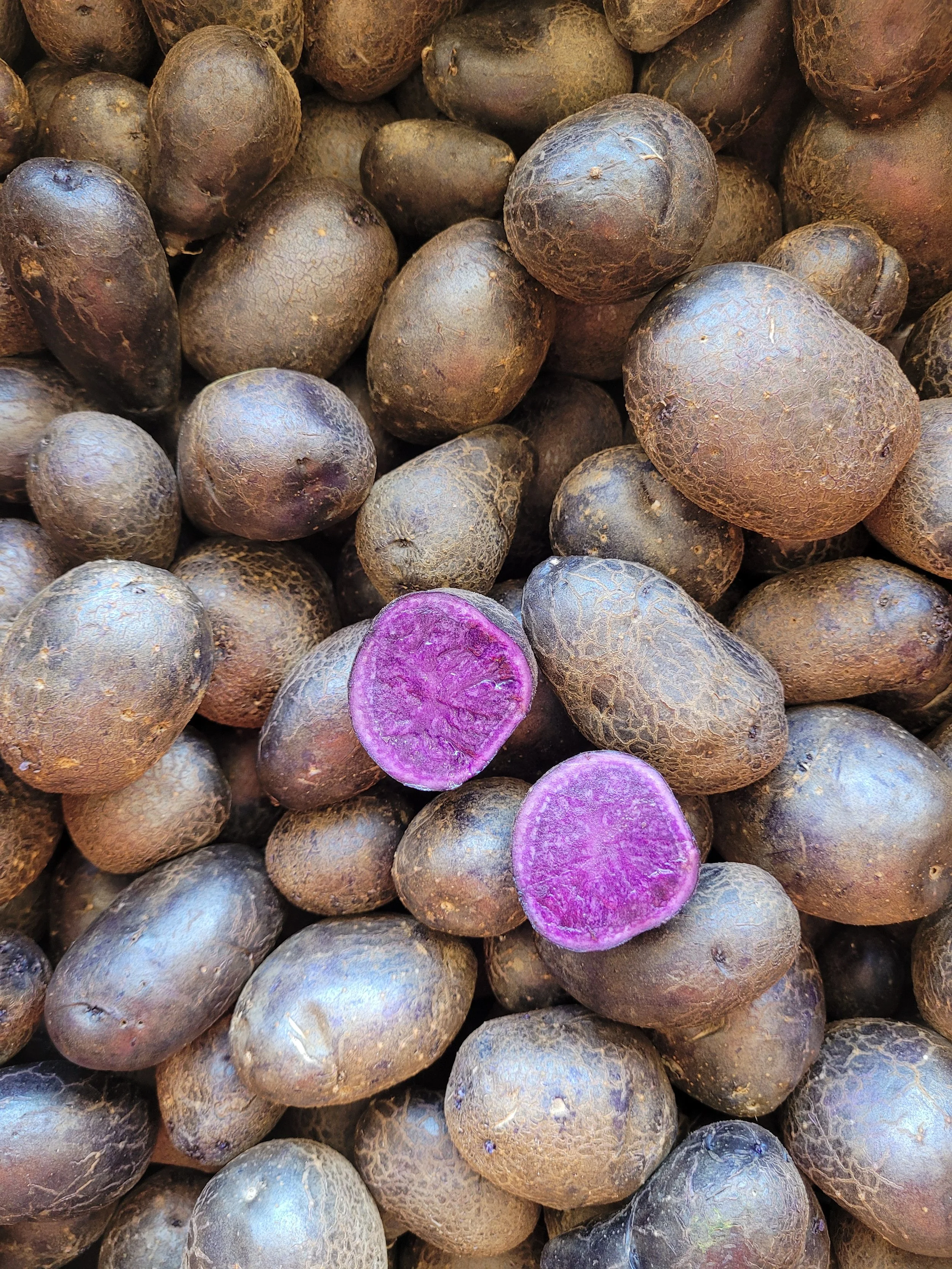 Sunrise Purple Fingerling New Potatoes with cut potato.jpg