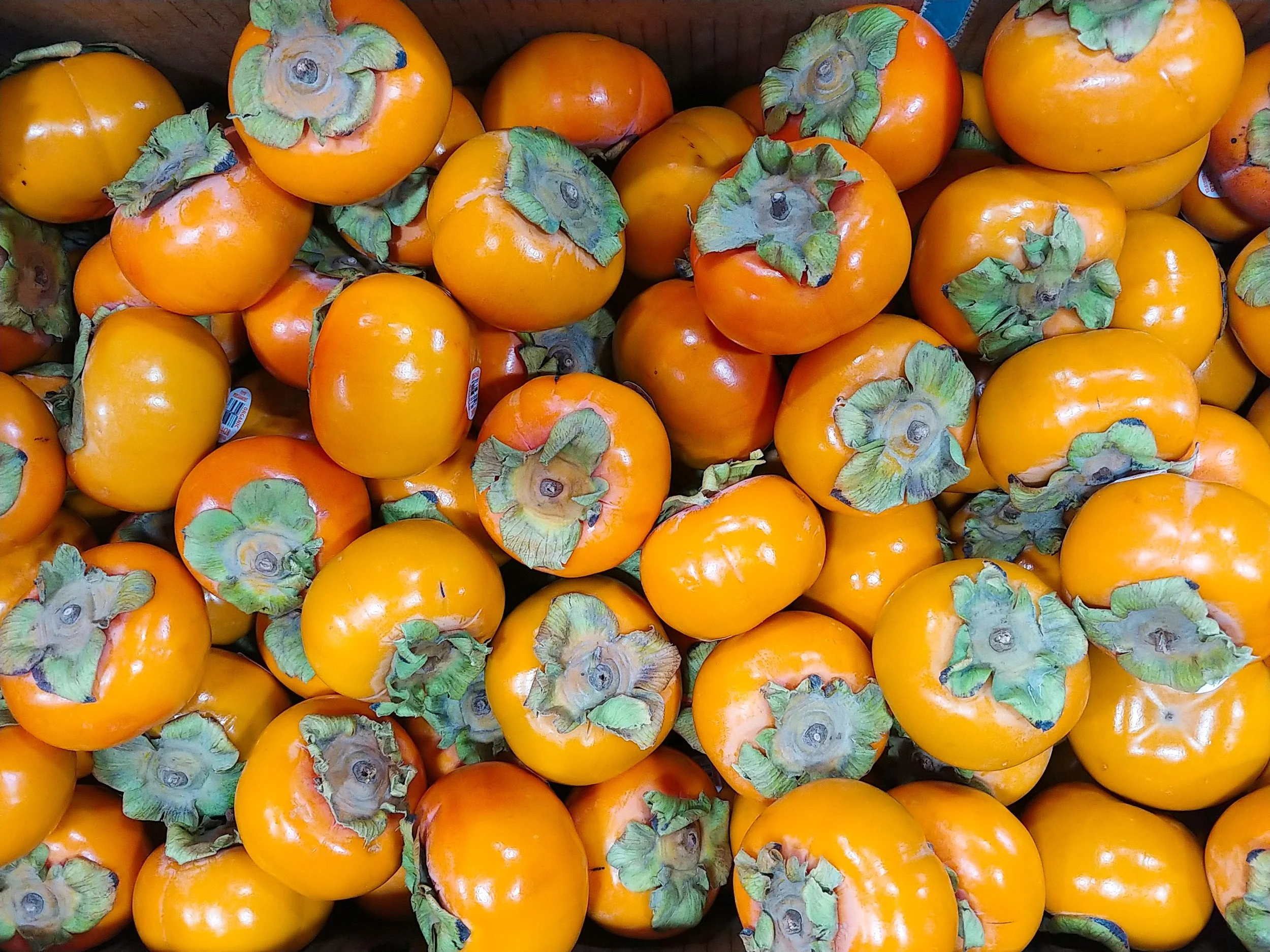 Ripe Hachiya Persimmons