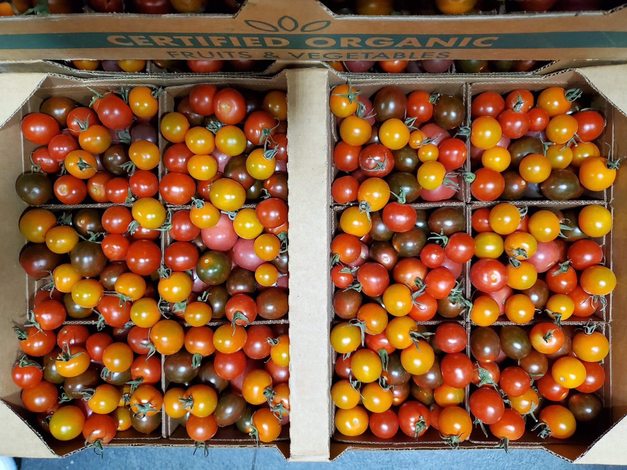 La Granjita Mixed Medley Tomatoes.jpg