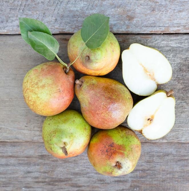 King Comice Pears
