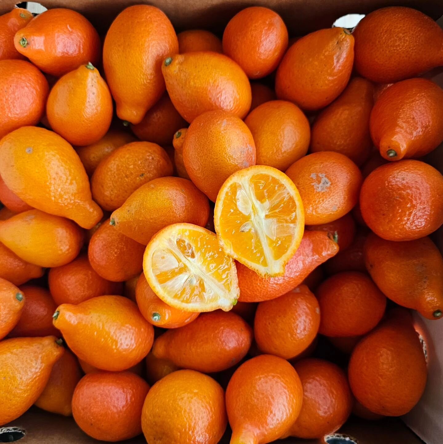 Mandarinquats are a cross between a Meiwa kumquat and a mandarin. They are a fun bell shape, larger than your average kumquat and they have an edible sweet peel and tart flesh. Take a bite out of this juicy kumquat or cut into slices to add to salads