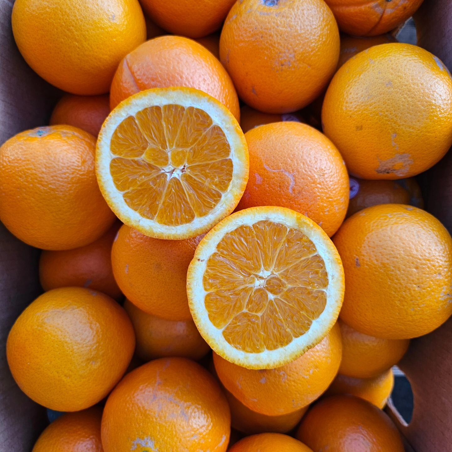 Heirloom Navels have a classic citrus flavor with wonderful color and they are oh so juicy!

#producethatinspires #passion4organic #followtheflavor #flavorfocused #navel #heirloomnaveloranges #californiacitrus #citrus #juicing #buckbrandcitrus