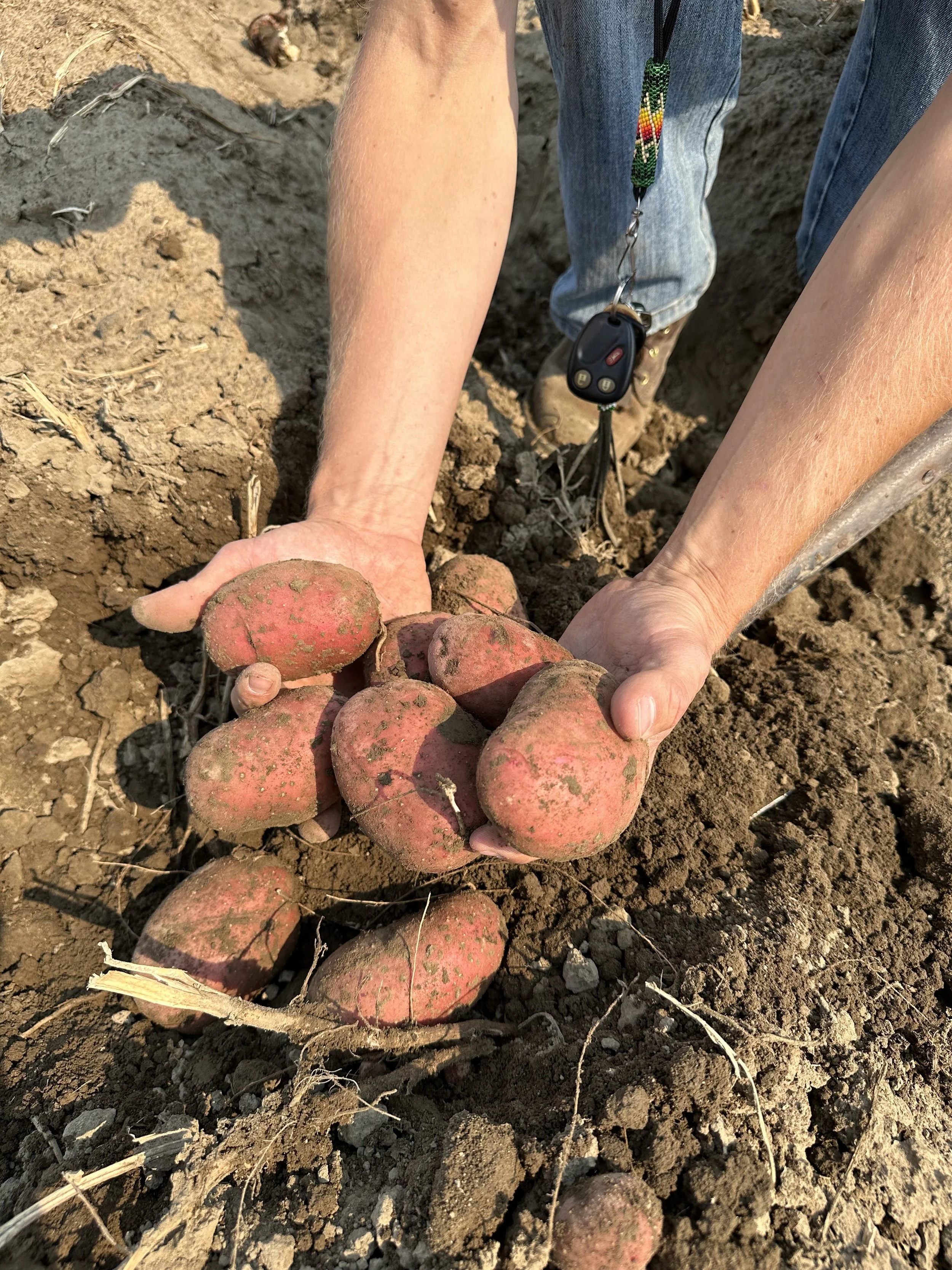 IMG_2478 Dans Bouchey photos 7[]26[]24.jpeg