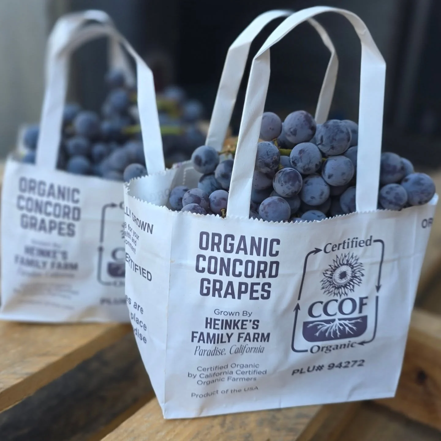 Heinke Family Farm in Paradise, (northeast of Chico in the Sierra Foothills) specializes in Concord grapes. These are the last organically grown commercial Concords grown in the U.S. The coveted Concord Grapes are highly aromatic with a floral flavor