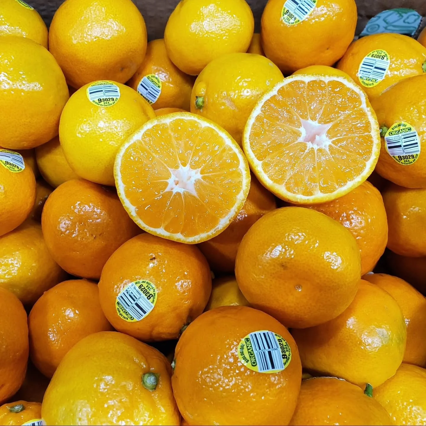 Fruit World (Reedley) Satsumas have fantastic flavor and are packed with synephrine, a natural decongestant. We recommend eating four to five satsumas a day to stay healthy this holiday season! They are also delicious in holiday cocktails. Try a Side