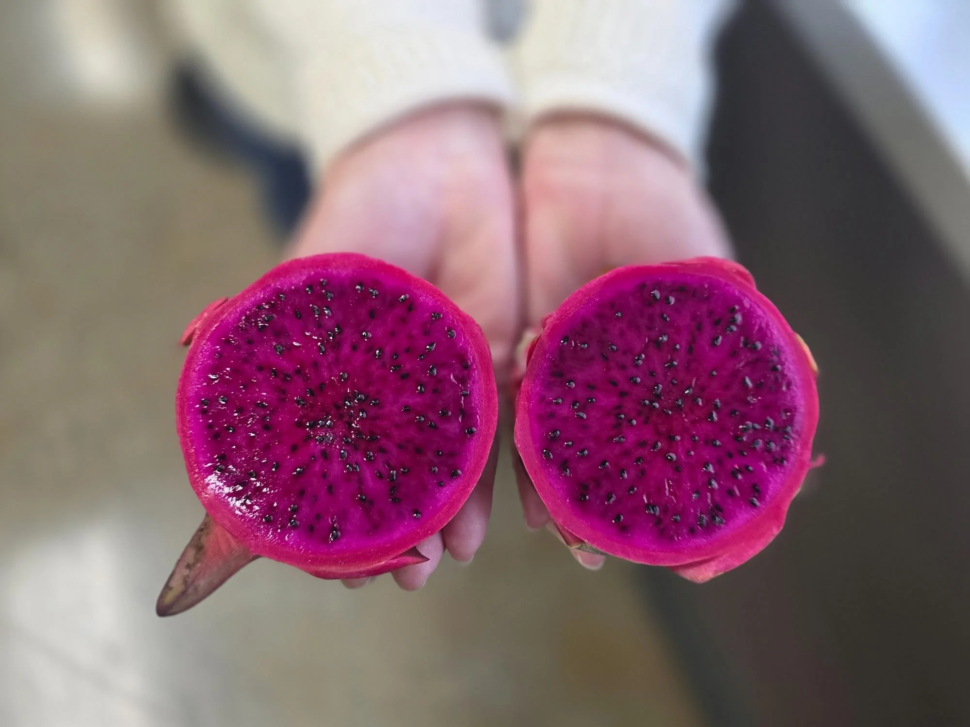 DRAGON FRUIT-A DELICIOUS SUPERFOOD 