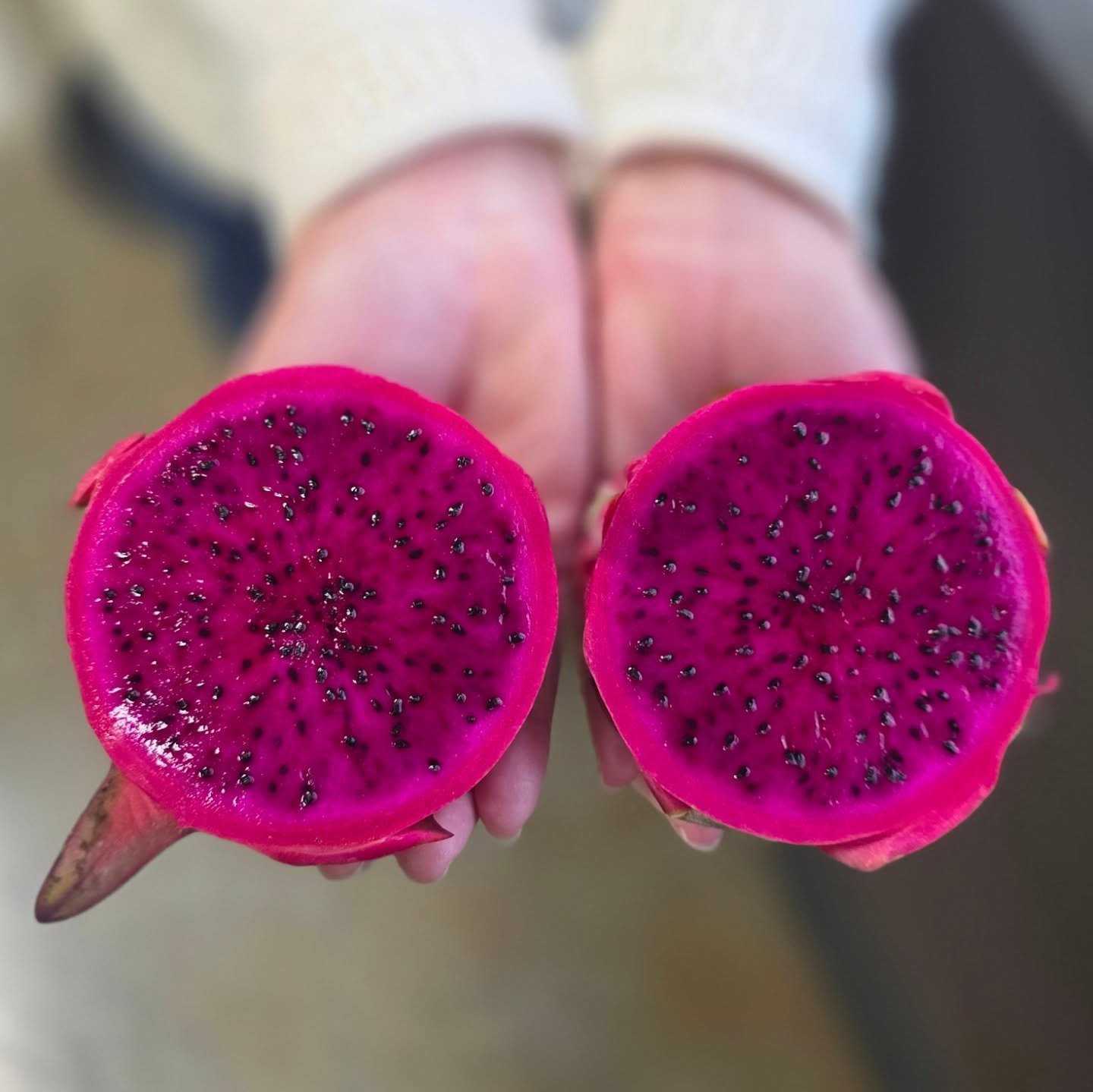 Frieda&rsquo;s&nbsp;Dragon Fruit&nbsp;from Ecuador is on special &ndash; the best price of the year!&nbsp;Dragon Fruit is a delicious superfood.&nbsp;&nbsp;It is also known as pitaya, pitahaya, or strawberry pear. &nbsp;The flesh has edible seeds, an