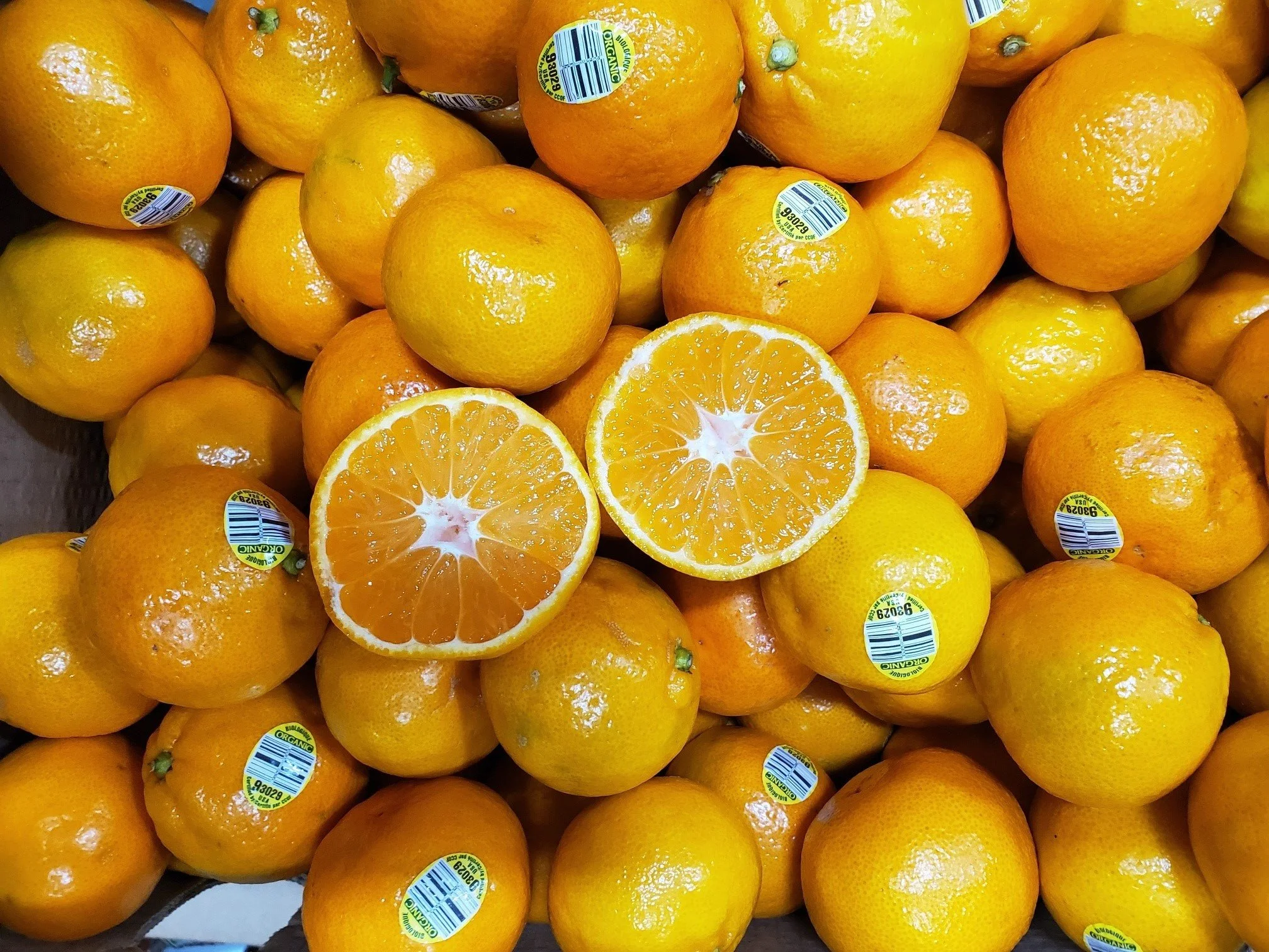 CITRUS WEATHER UPDATE