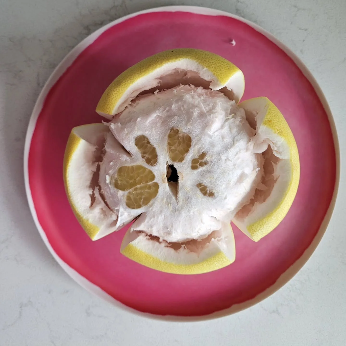 STAY HEALTHY IN 2026!

The New Year is great time to try some new and exciting Citrus varietals.Buck African Shaddock Pummelos are eating fantastic! They have a medium thick rind and low acidity, giving them their sweet tart flavor. Chandler Pummelos