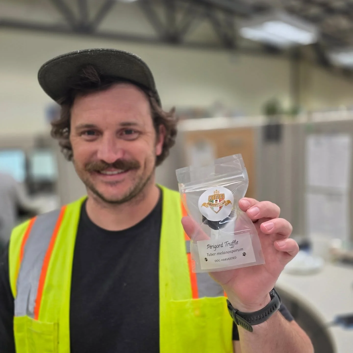 Cool and rainy weather has brought on a delicious and unique array of domestic and Italian Truffles and Pacific Northwest Wild Foraged Mushrooms! There is something for everyone with truffle varieties for customers new to truffles to experienced home