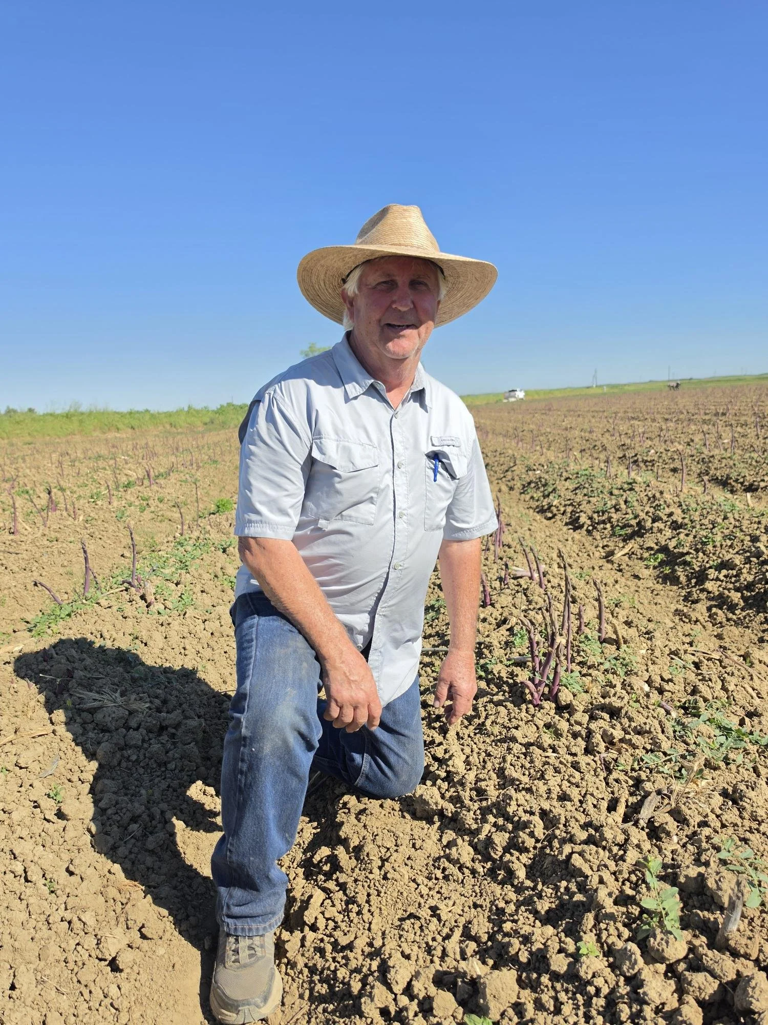 shared image (8).jpg