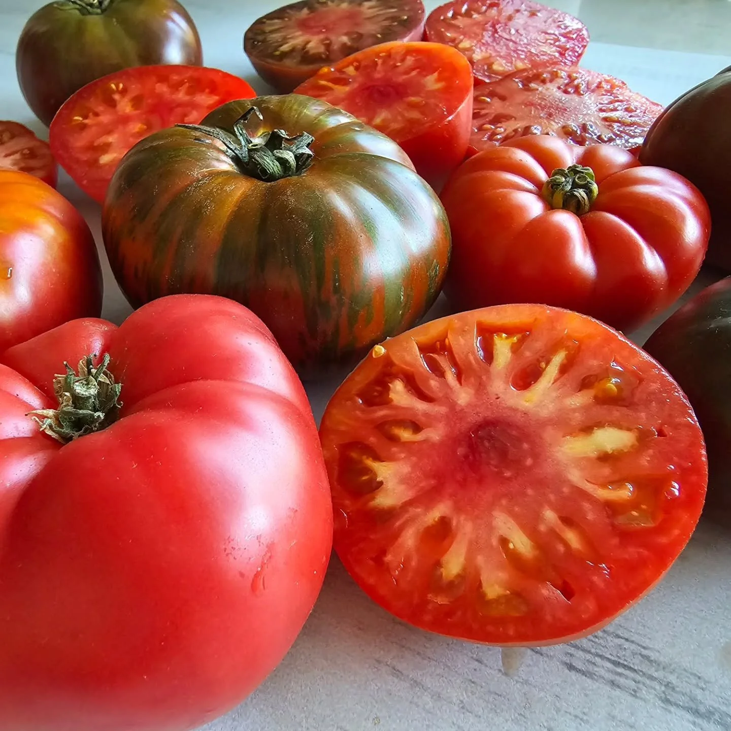 Tutti Frutti Heirloom Tomatoes (Lompoc)

Tutti Frutti has been nurturing their field grown Heirloom Tomatoes and the first harvest is finally here. For over 30 years Chris Cadwell has specialized in beautiful streaked, striped and unique shaped heirl