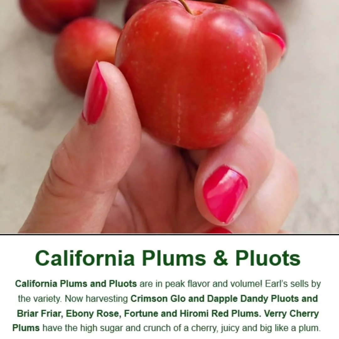 Plums and pluots are in peak flavor!