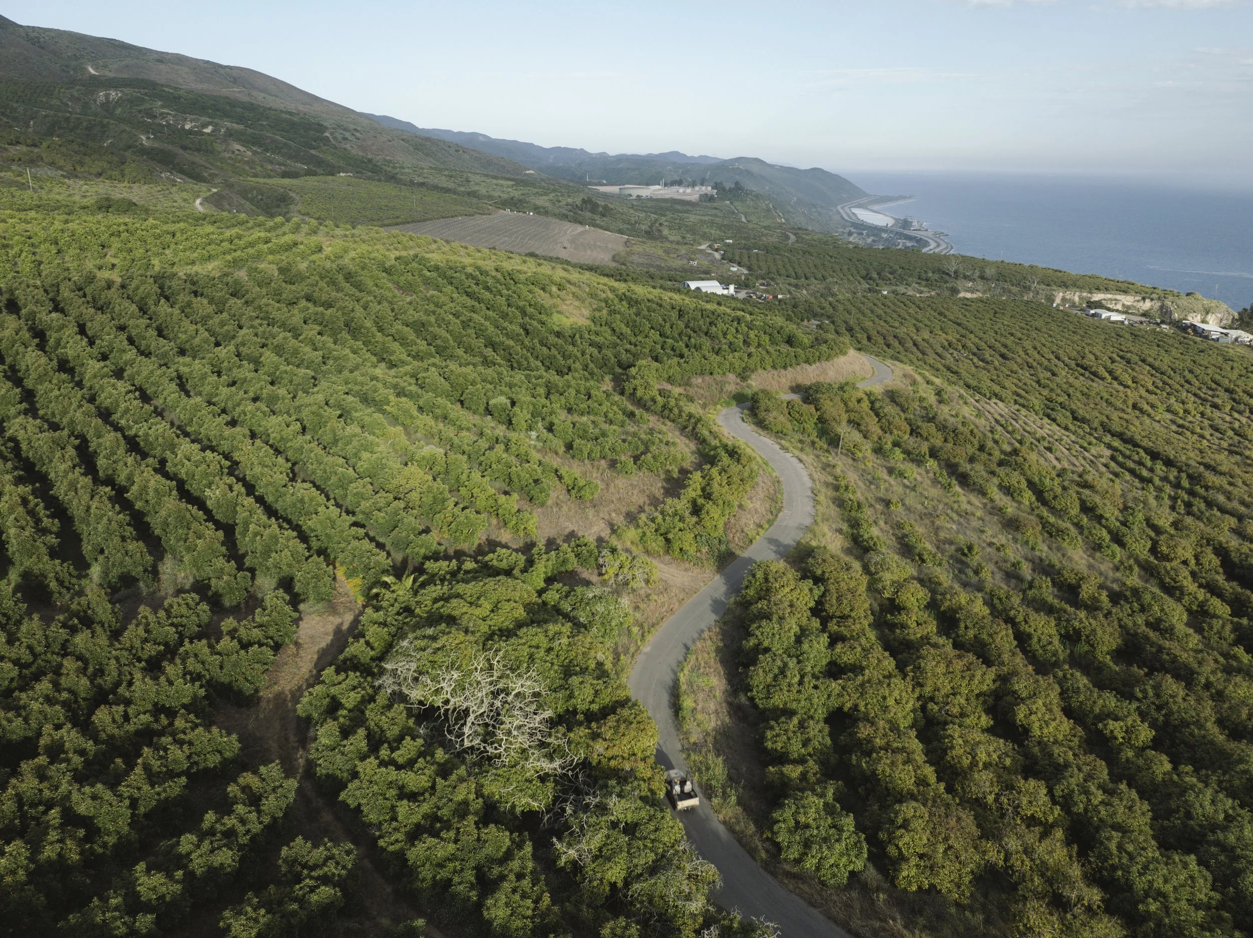DJI_20240718184603_0028_D.jpg