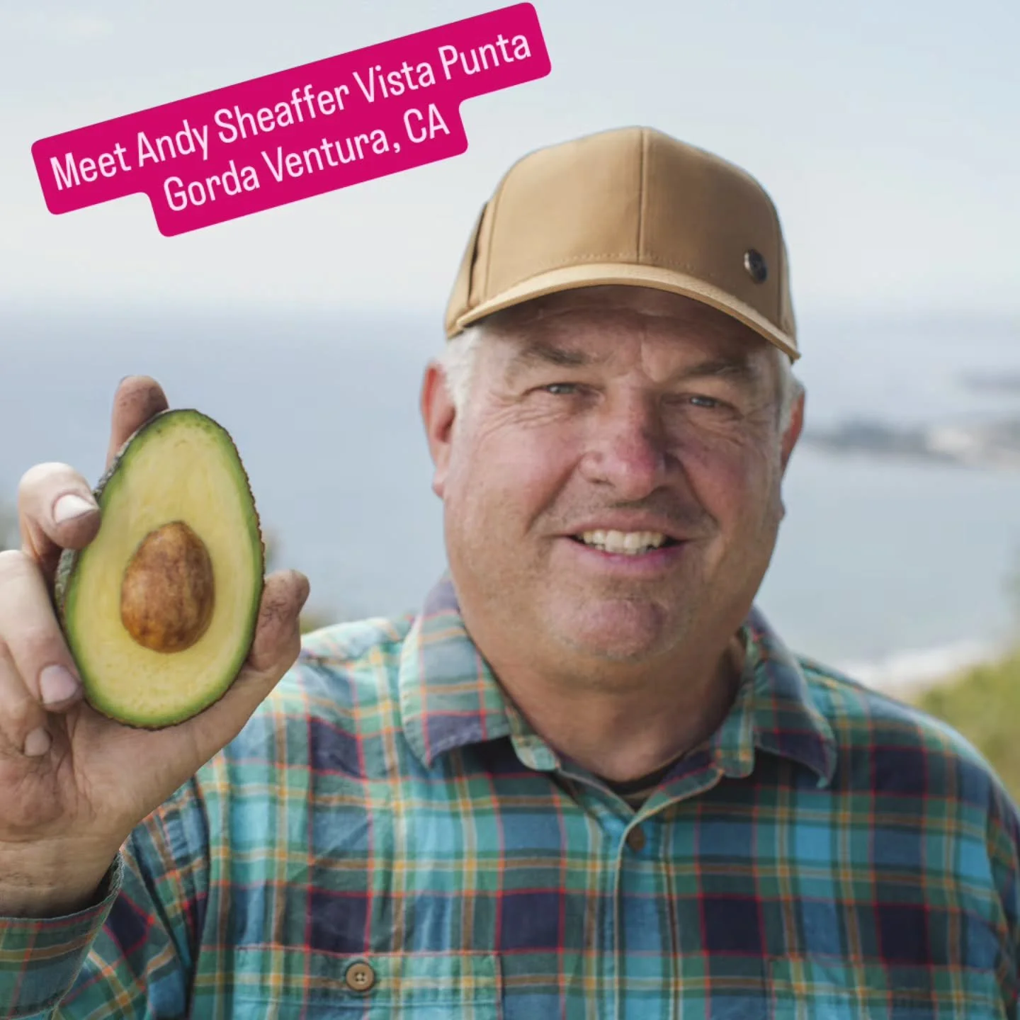Vista Punta Gorda Queen of the Coast premium California organic avocados are regeneratively grown for exceptional flavor and consistency that keeps customers coming back.&nbsp;

Family-owned Vista Punta Gorda grows organic avocados and lemons on thei