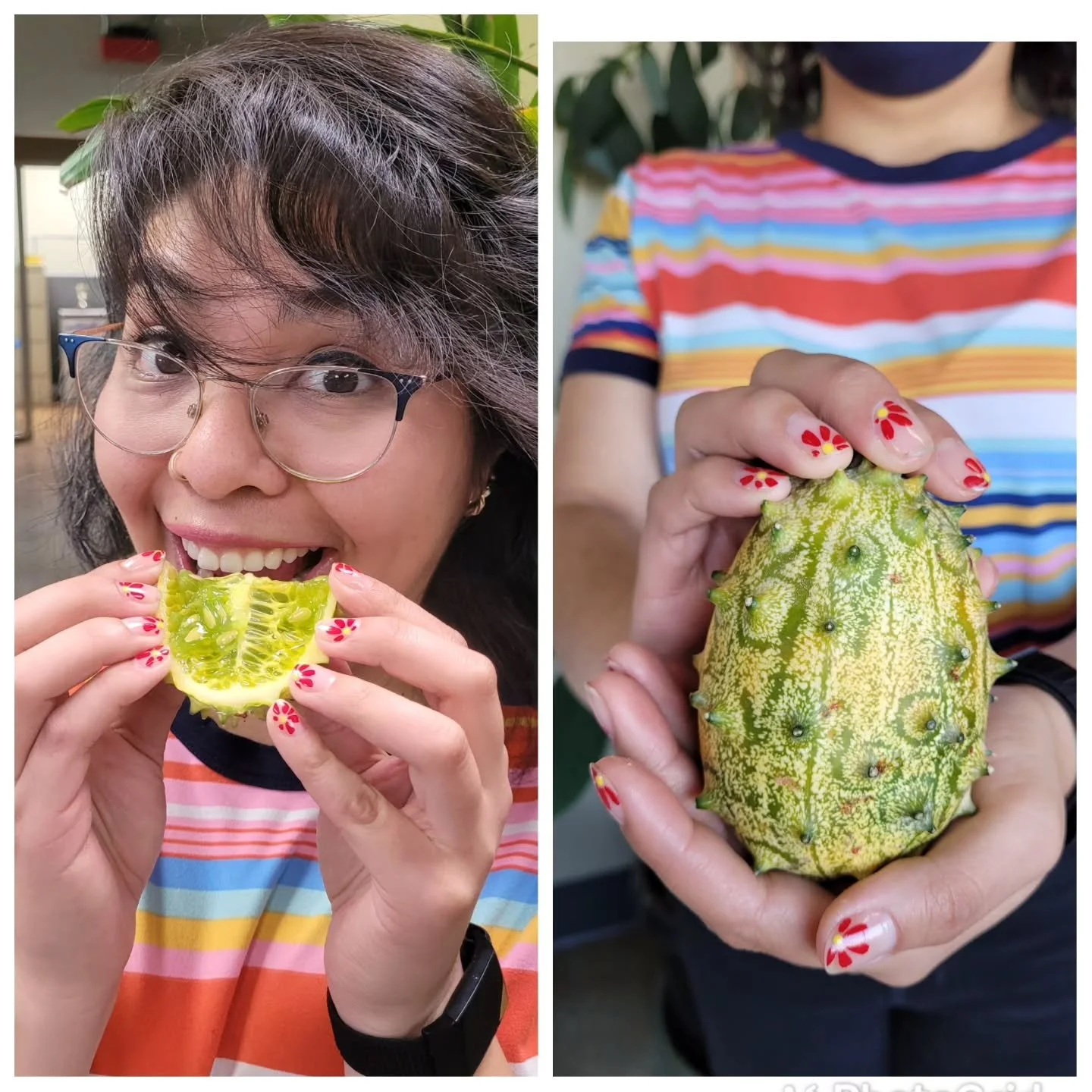 Kiwano Horned Melon taste like a mix of cucumber, kiwis and bananas when ripe. The fruit will have an orange rind and give slightly to gentle pressure when ripe. Cut in half like a kiwi fruit and scoop out the fruit or squeeze the cut fruit from the 