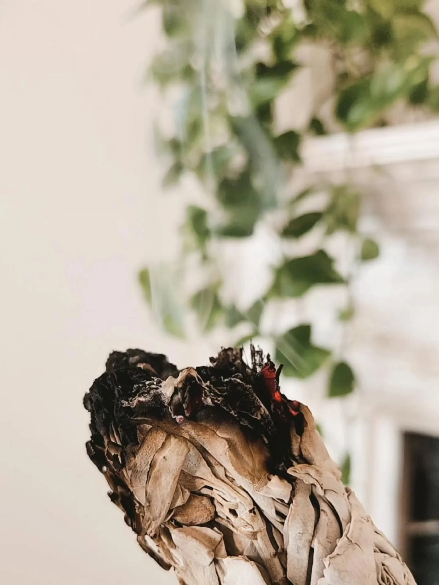 #mood ...life lately october edition 

1. back to mornings with deep meditation + yoga

2-3. family night out with my love and our girls at @eckertfarms fall fest

4. the way pre-made chopped kale salad has had me in a chokehold all month long, geesh