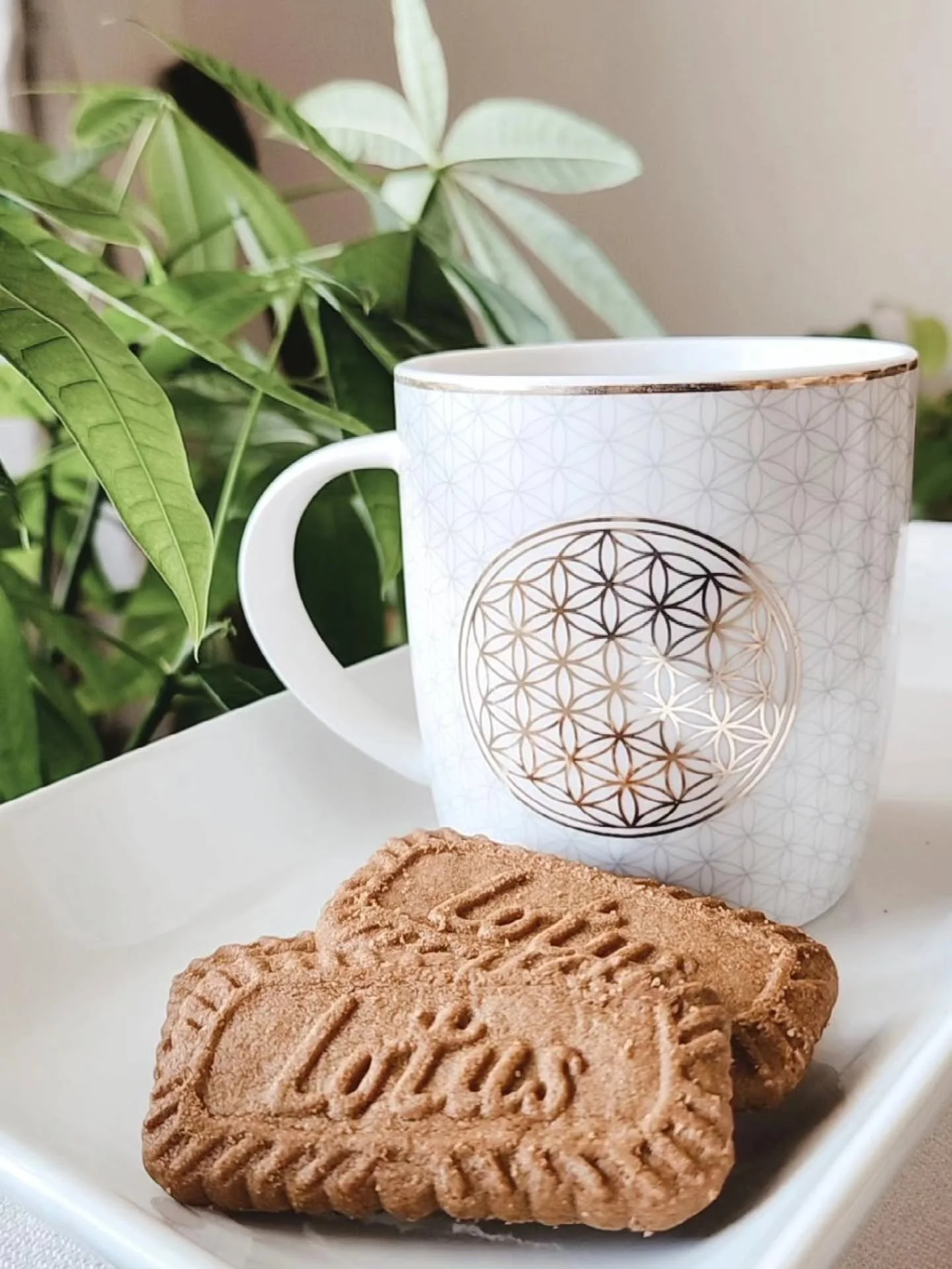 #mood ...my birthday month feels softer this year &mdash;forty-two carries a decade of wisdom, and joy that rests easy, without the noise.

#birthdaymonth #birthdayjoy #novemberbirthday #joyfilled #joyfilledlife #morejoytocome #kellykendrick