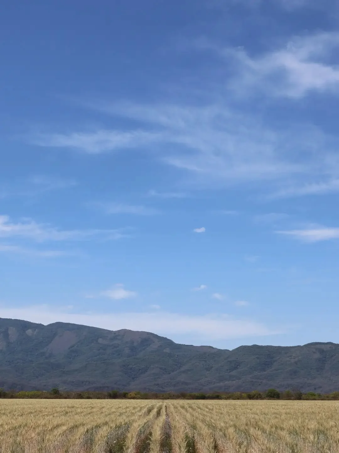 📍Jujuy, sobre Ruta Nacional 66