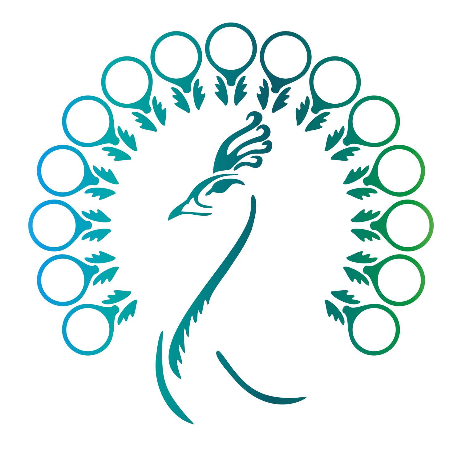 IPOChase Financiación de Inversiones 