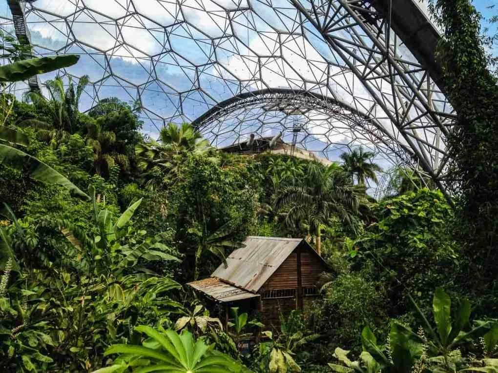 TOWER NO. 7'S RAINFORREST BLISTER, ENCLOSED BY A GEODESIC ARMOR GLASS SERIES OF SPHERES.