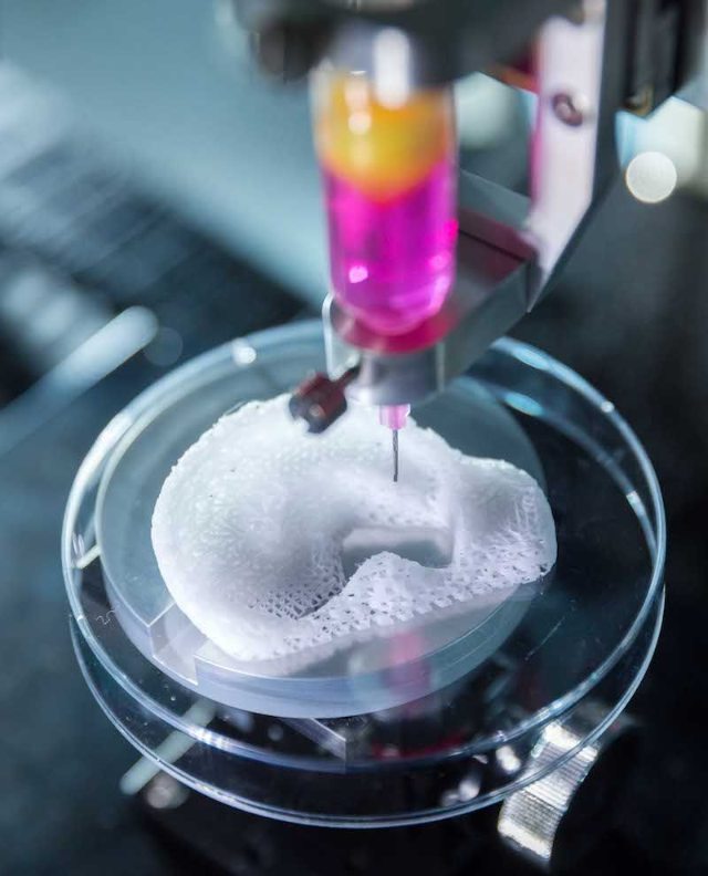BIOPRINTING 101