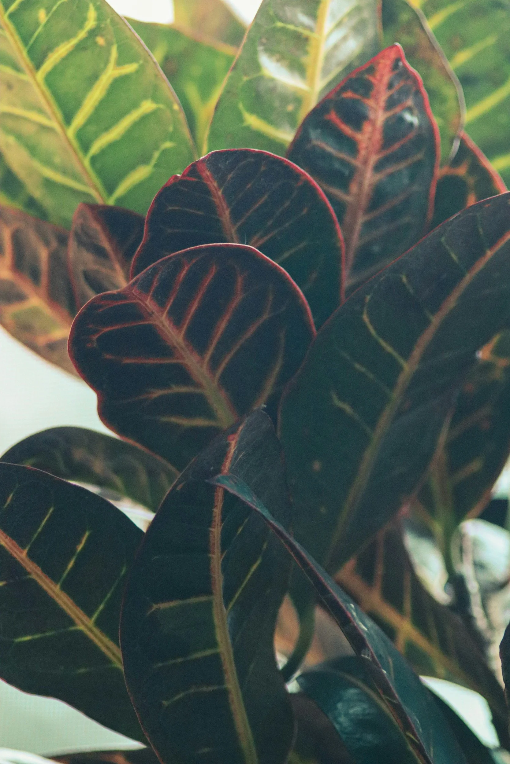 unsplash-image-gmnjQhF3b5k.jpg