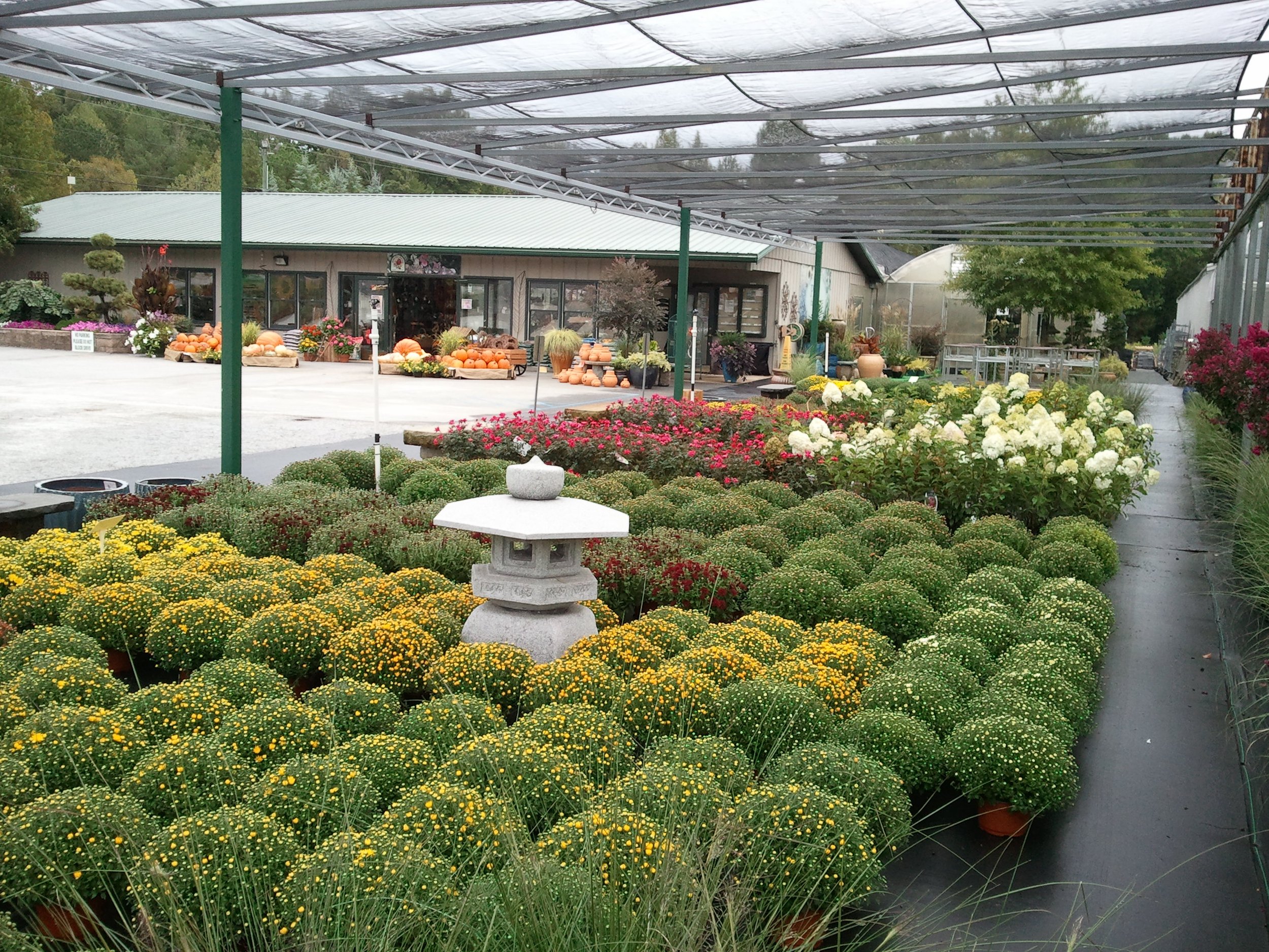 Photo Gallery — HeadLee Nursery