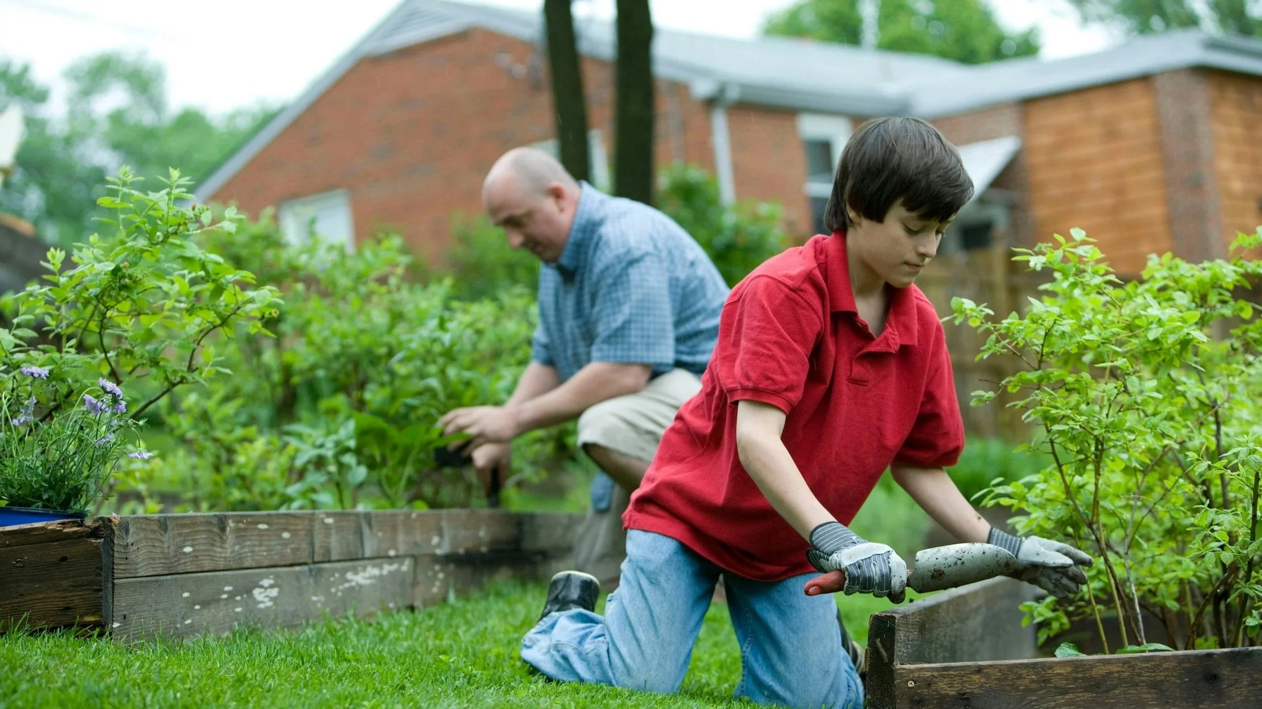 Outdoor Plant Fertilization Guide for South Carolina Gardeners