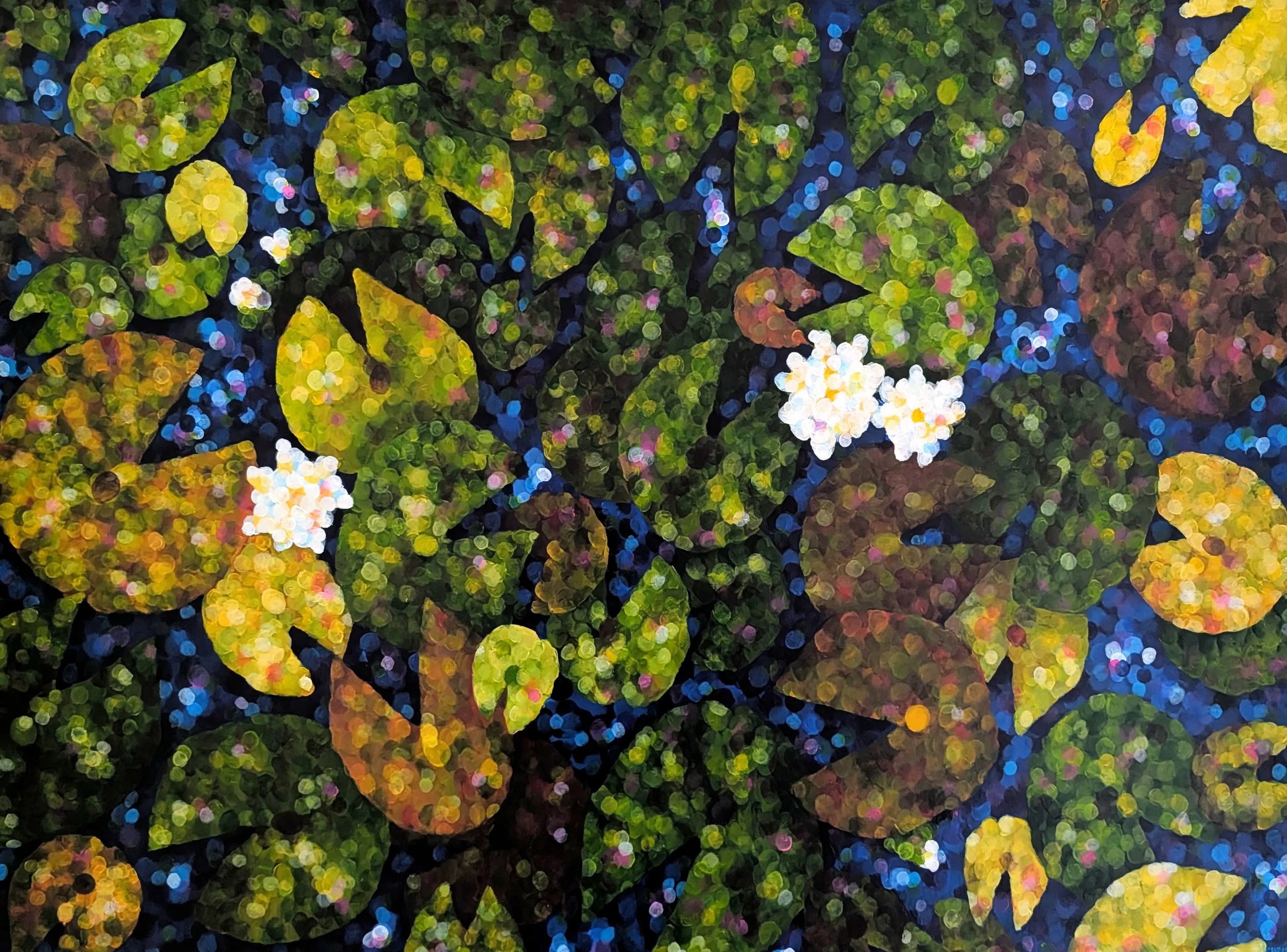 Pier Lily Pads.jpg