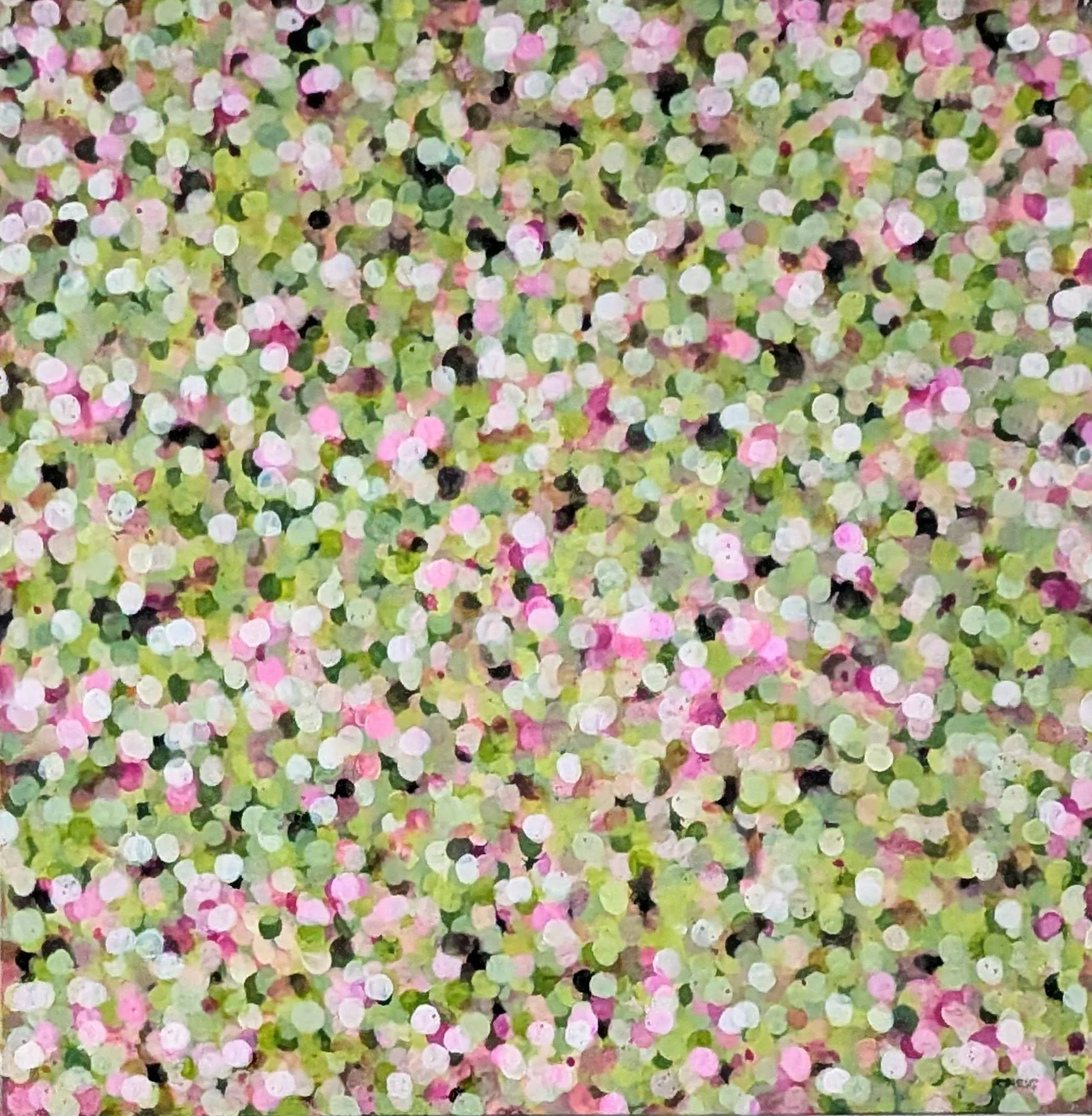 where Flowers blur.jpg