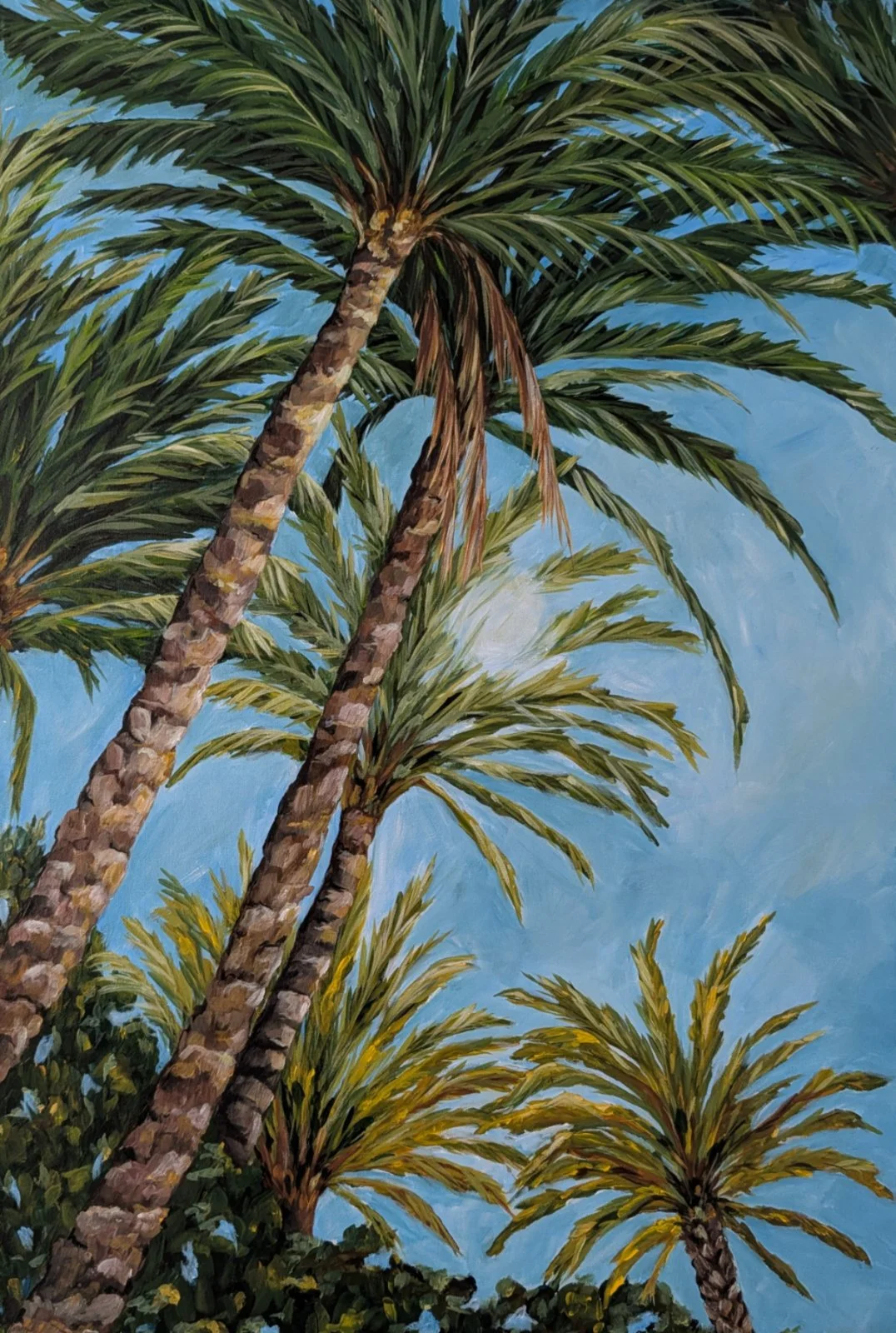 Where the Palm Trees Sway