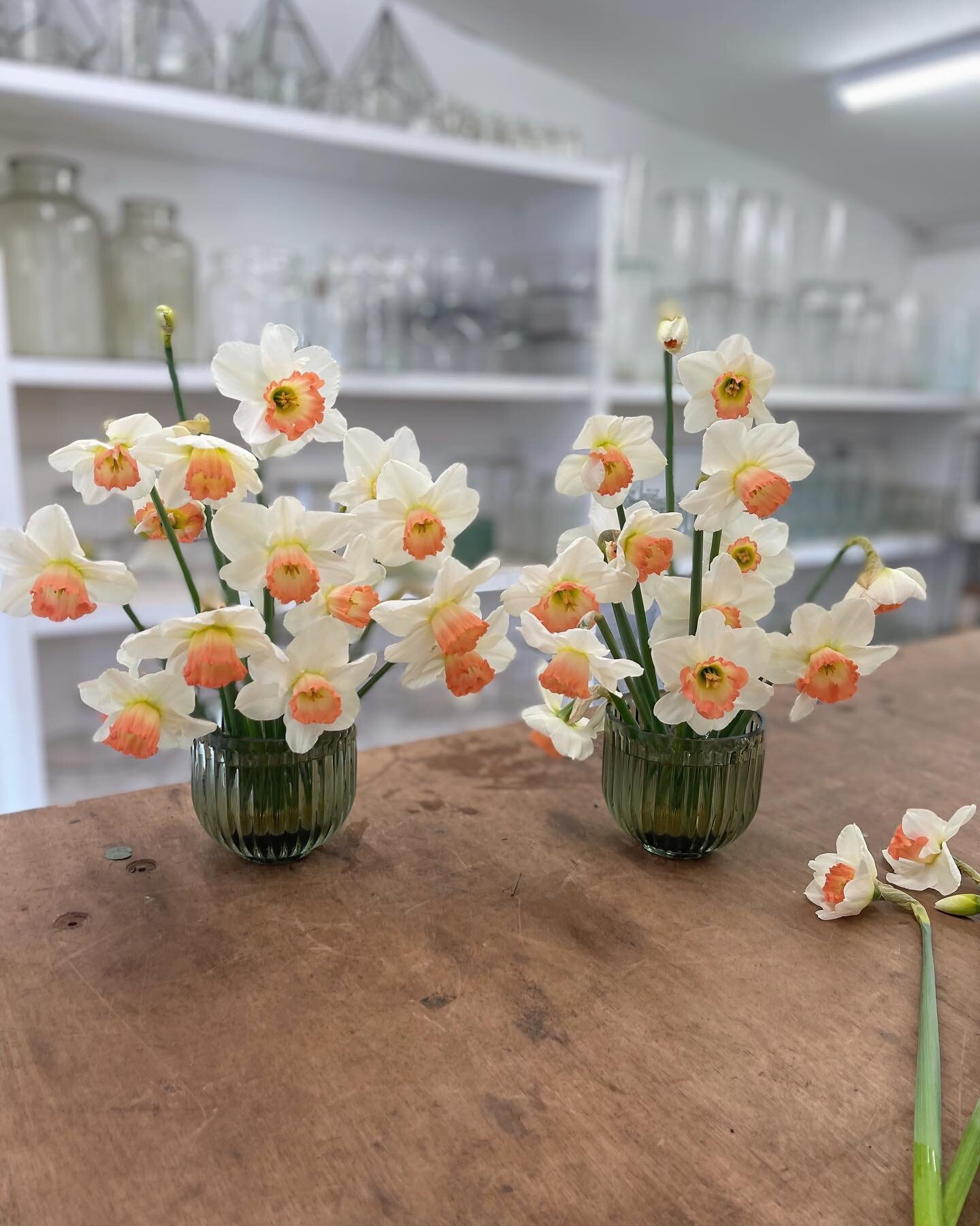 Happy Easter 💛Gorgeous Pink Charm! The first stems from @homewoodbath new cutting garden🧡Lovingly grown by @chef_gardener and picked by @tamsin64 The daffodil represents new beginnings with its beautiful golden crown 🌿xxx