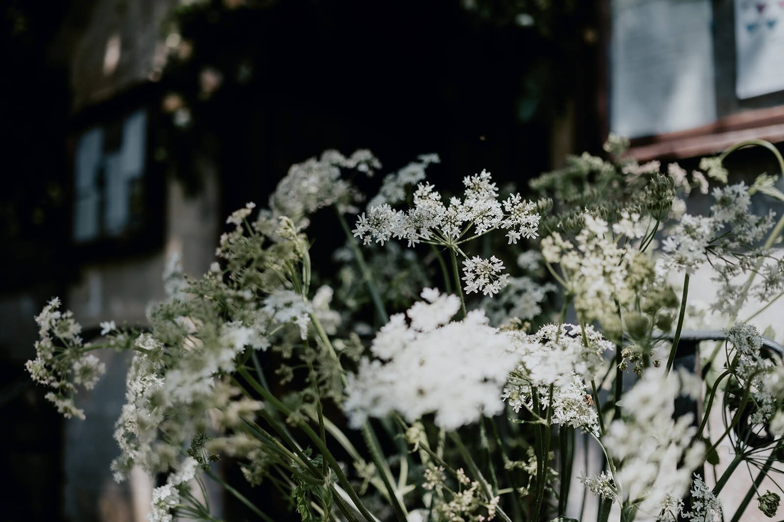 Cow-parsley-flower-arrangement.jpg