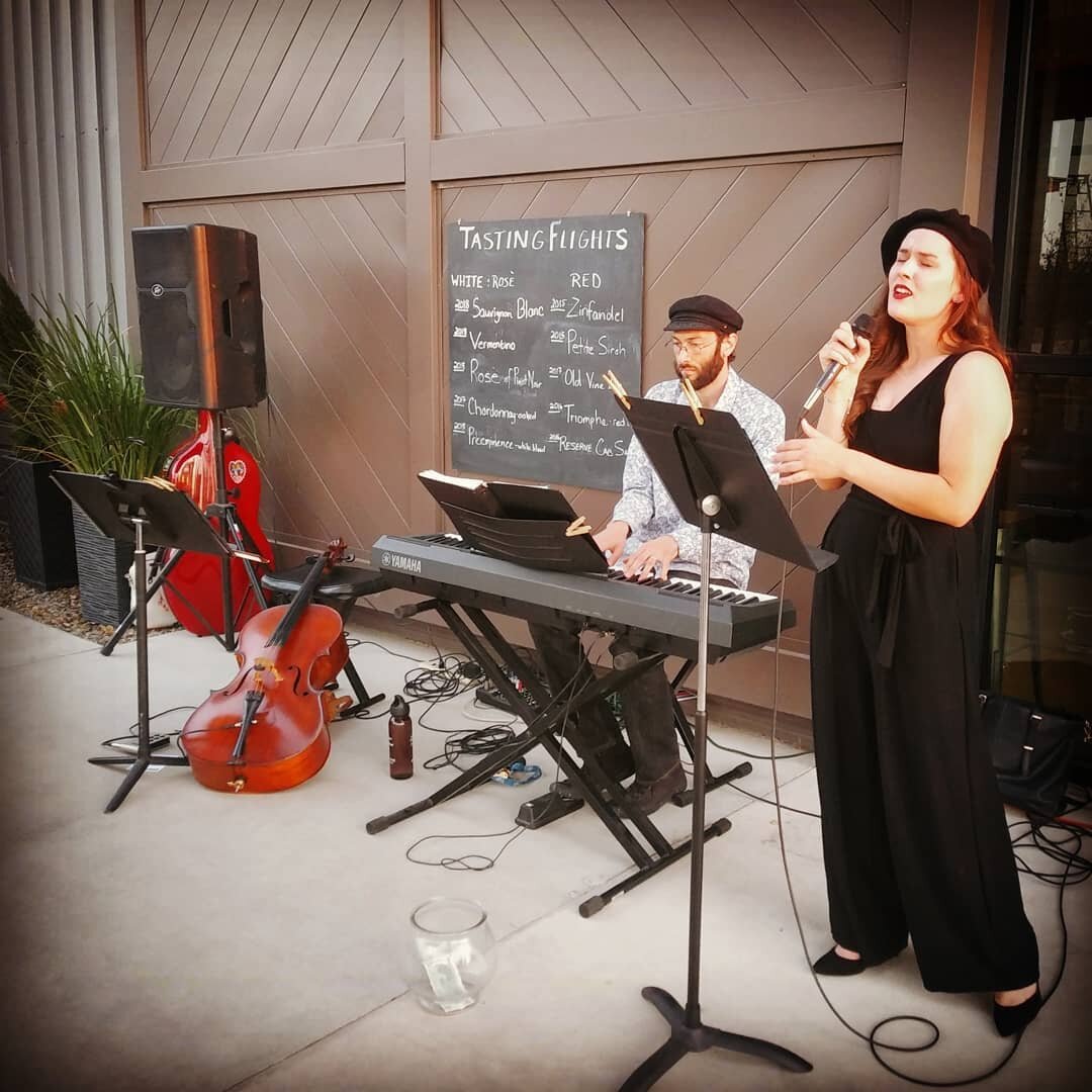 Twas a wonderful evening at @peltierwinery with guest vocalist, @samantha.colleen . Wonderful wine, desserts, friends, family, and students were there to enjoy the cool autumn night!
#autumn #music #trio #wineandmusic #cello #piano #voice #lodicalifo