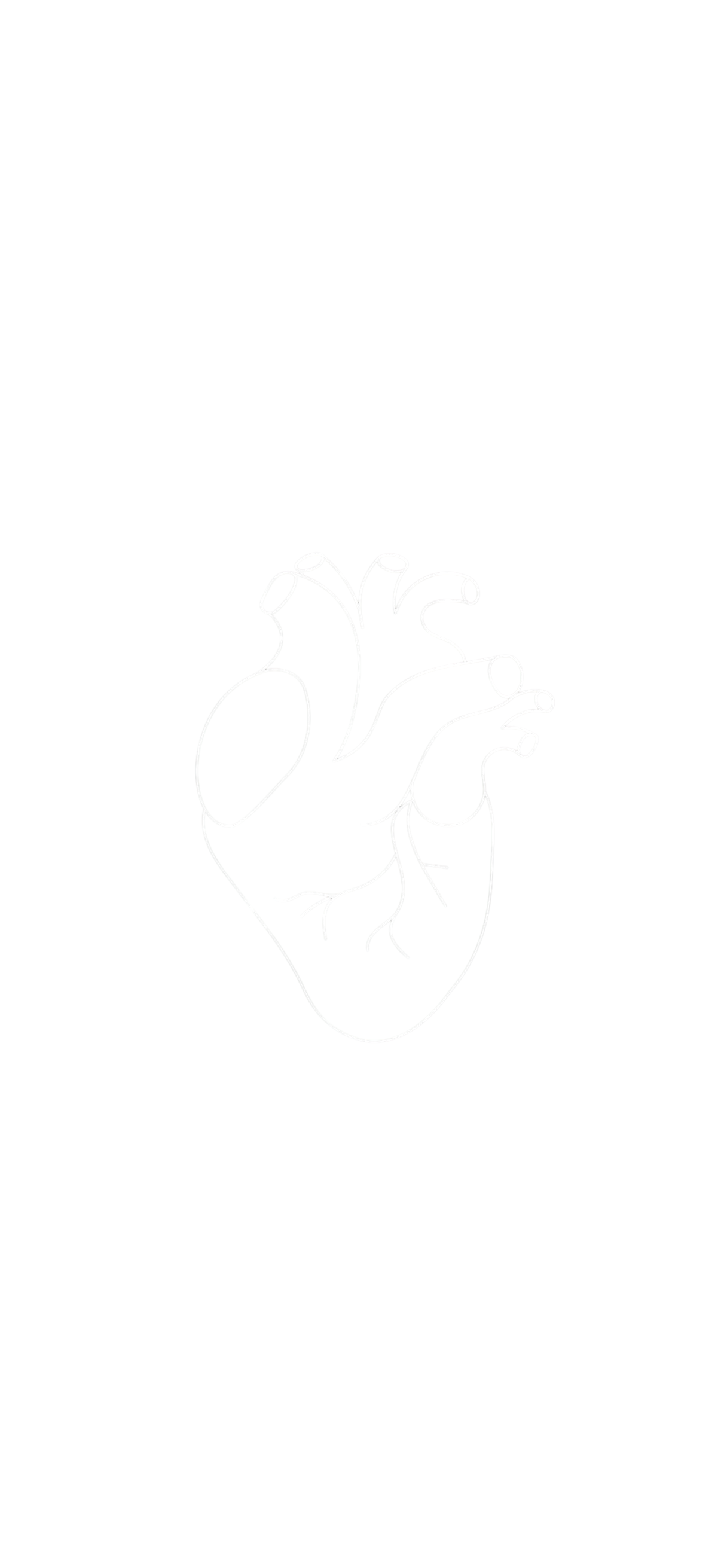 Outline drawing of a human heart on a black background.
