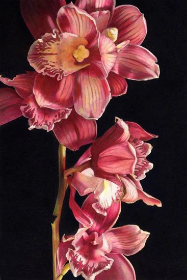 Orchids, markers and color pencils, 2007.