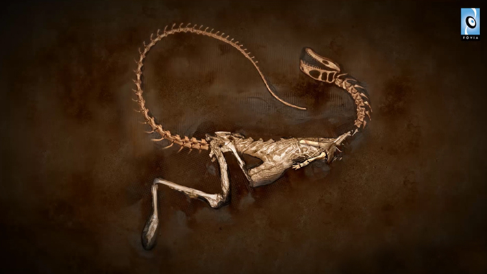 Digging Noasaurid, Fovia and Photoshop, 2011.