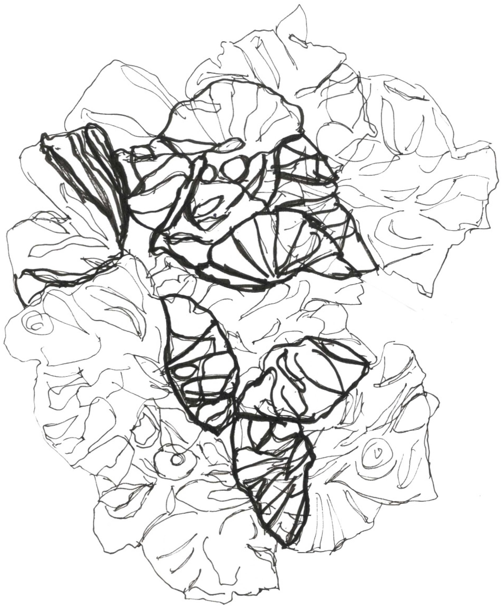 Sketch