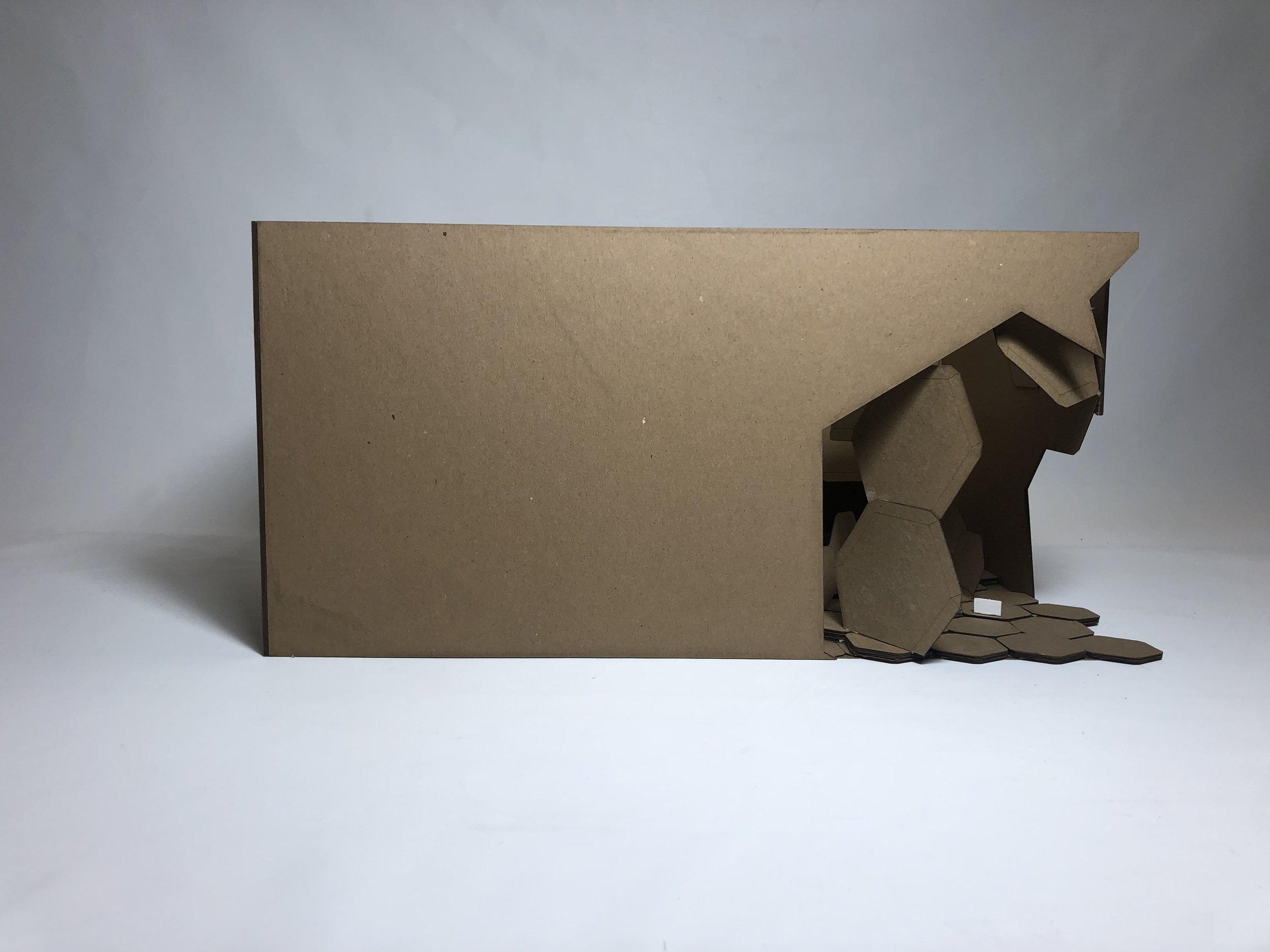 Model Images