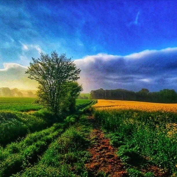 🌾Look at this stunning photograph from a local resident looking towards Wethersfield from Finchingfield. 💚This is why we are fighting for our little corner of Essex. 👍Please keep writing and donating if you can. 👆Links in our Bio. #wethersfield #