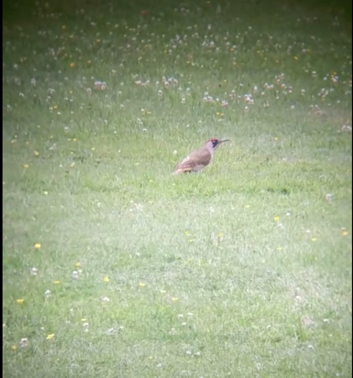 Screenshot 2022-02-11 234646.png