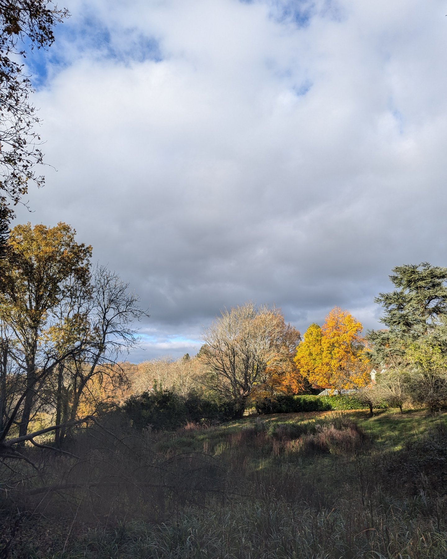 Wadhurst in Winter 🍂